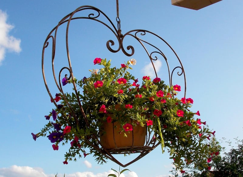 Hanging Baskets