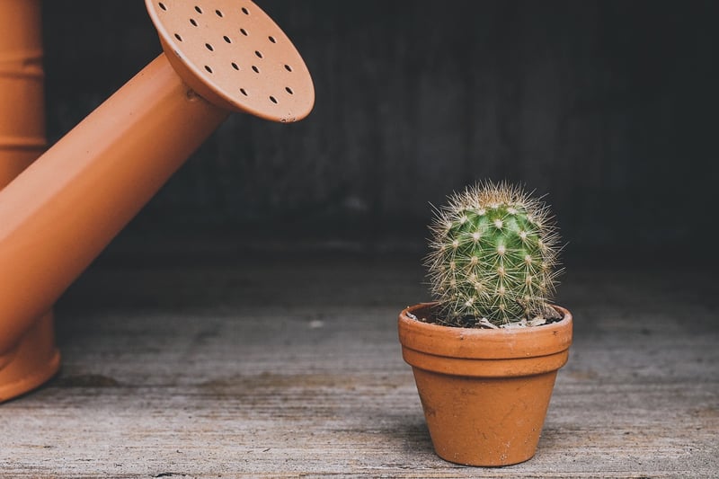 Container Gardening