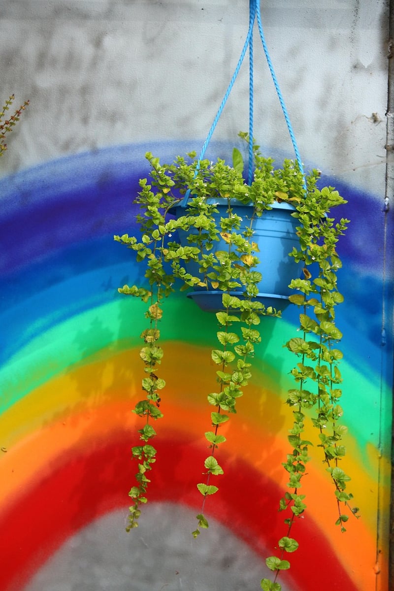 Hanging Gardens