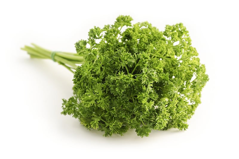 Herb Garden